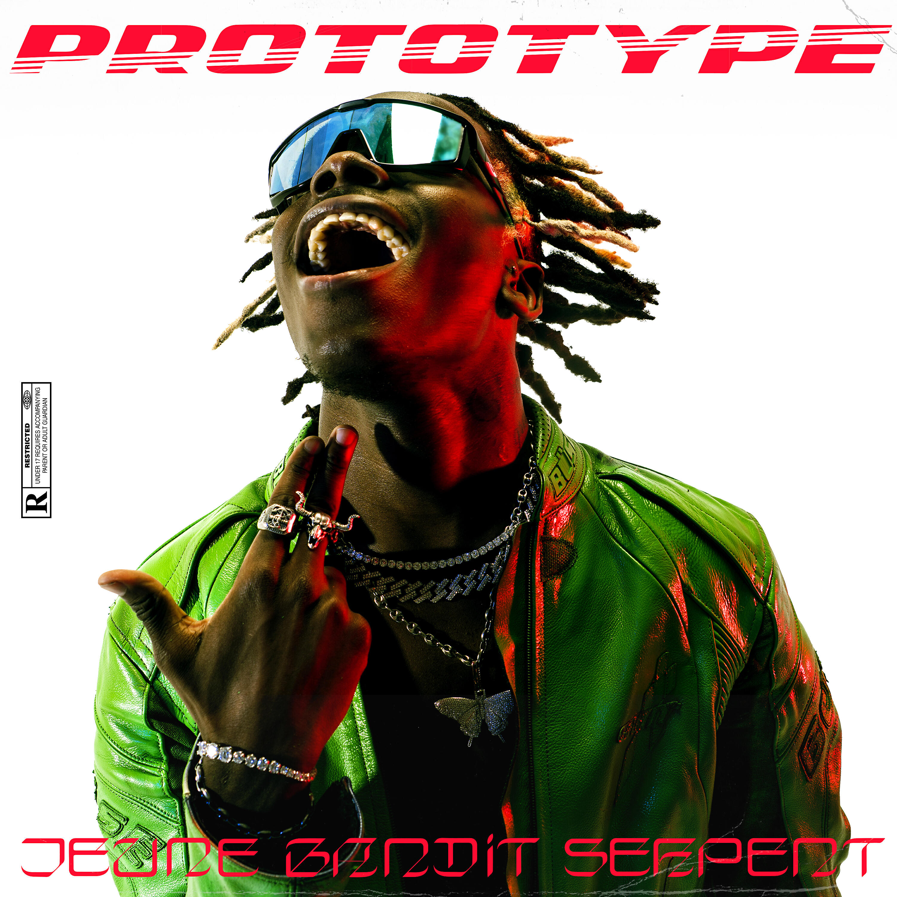 Постер альбома Jeune bandit serpent