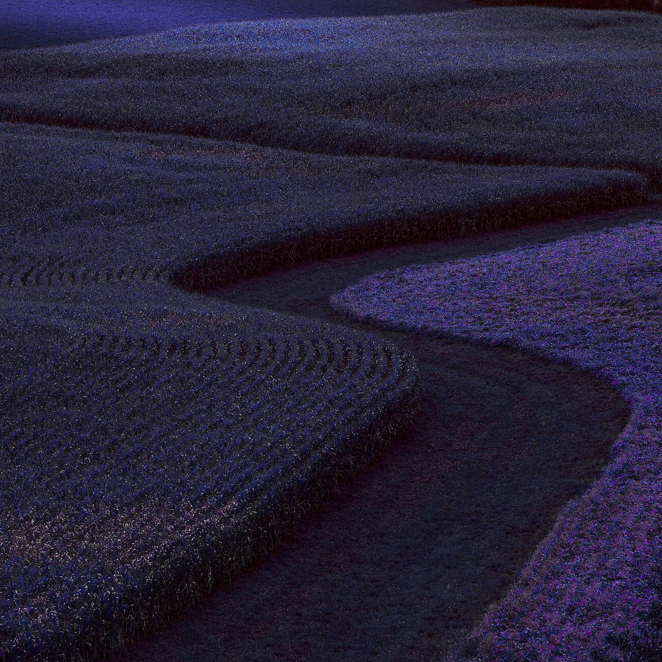 Релиз Ocean & Fields
