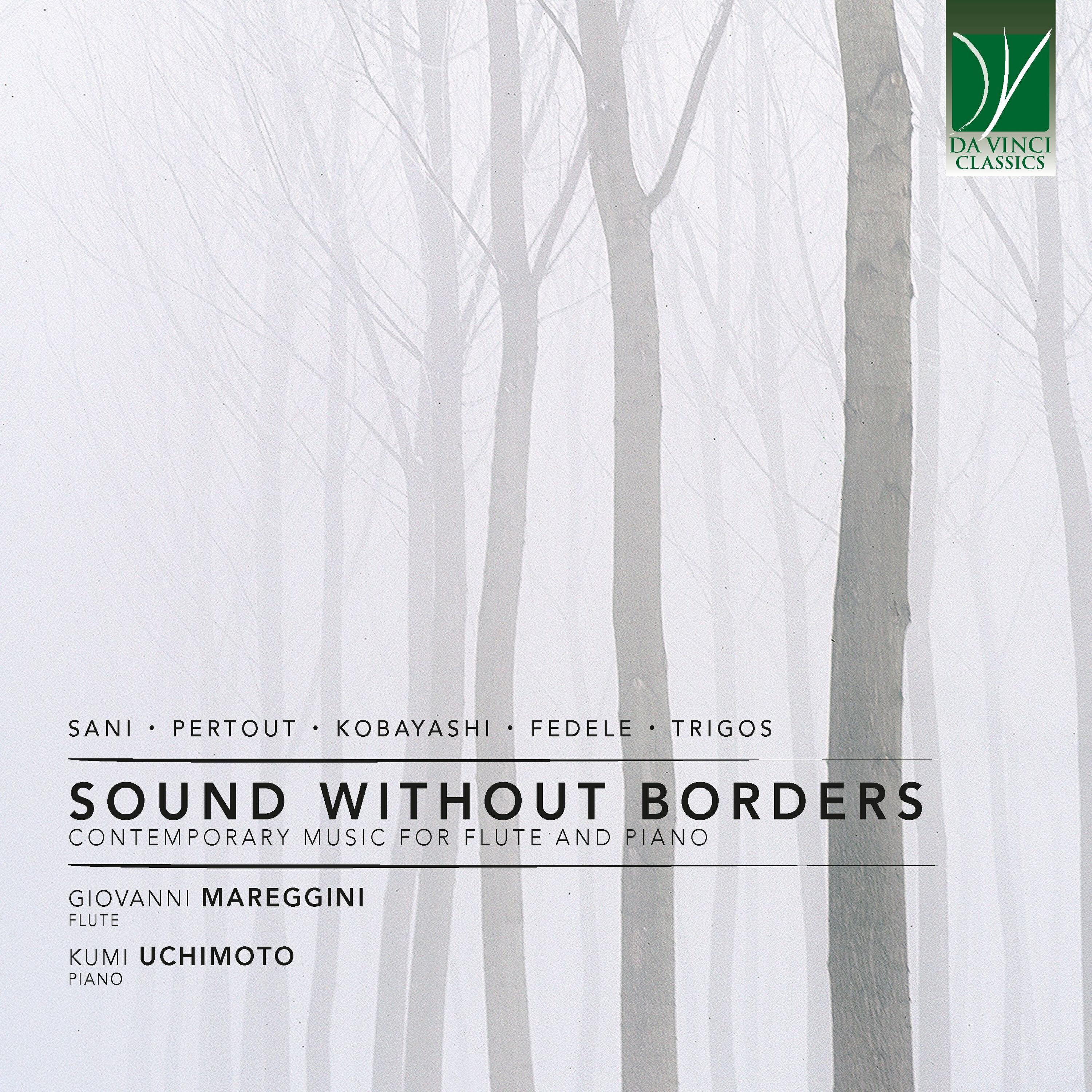 Релиз Sound without Borders