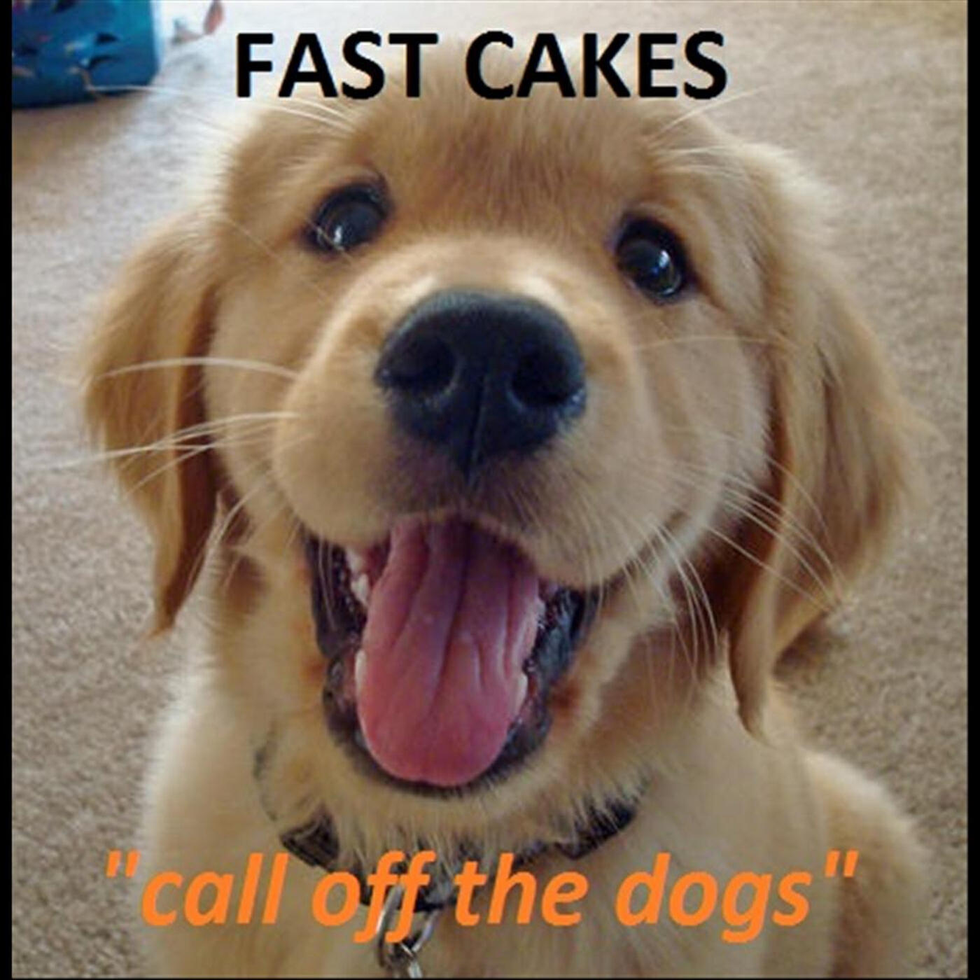 Релиз Call Off the Dogs
