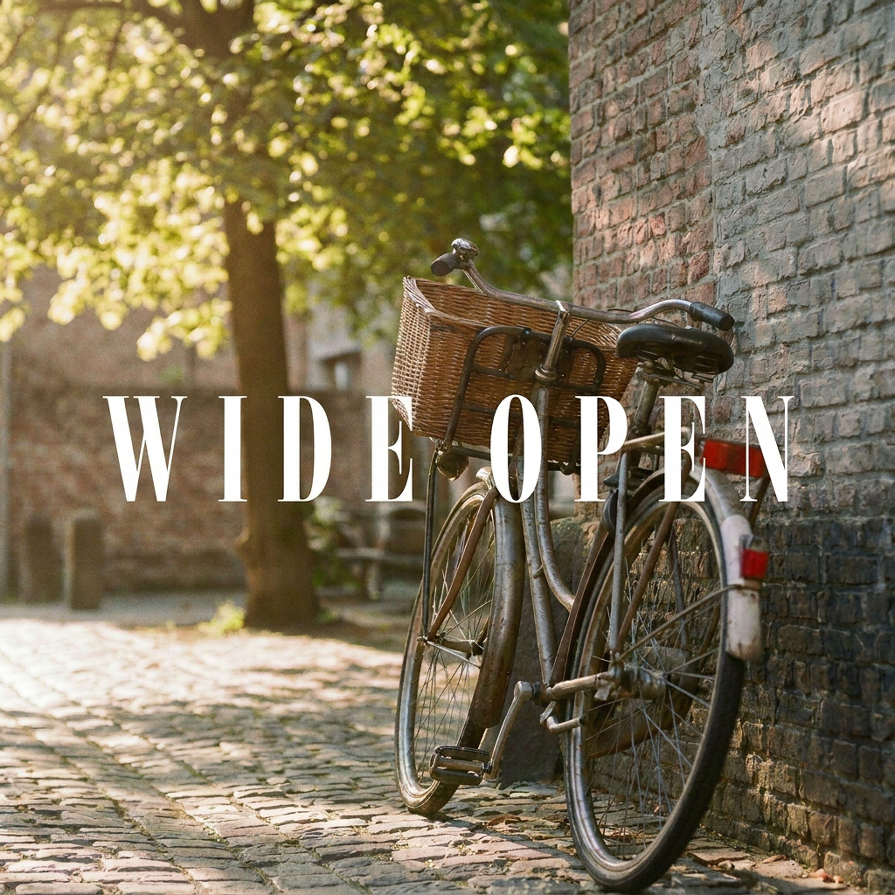 Релиз Wide Open