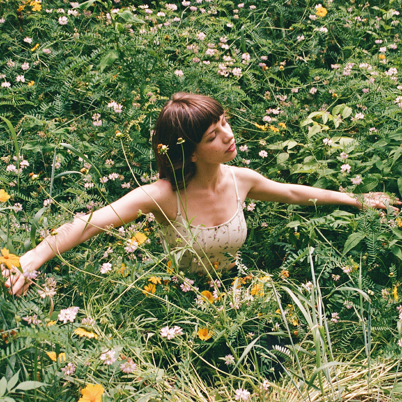 Релиз Waltz About Death