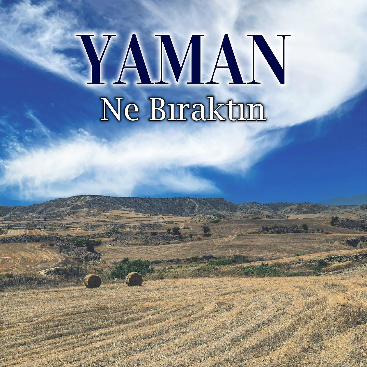 Релиз Ne Bıraktın