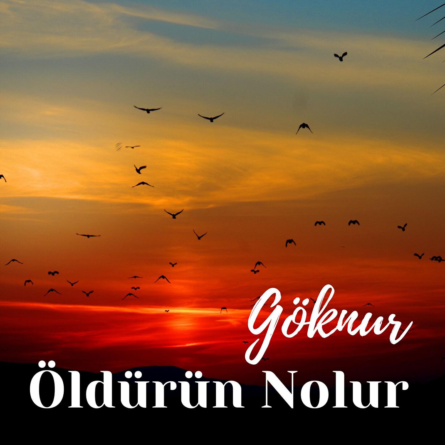 Релиз Öldürün Nolur