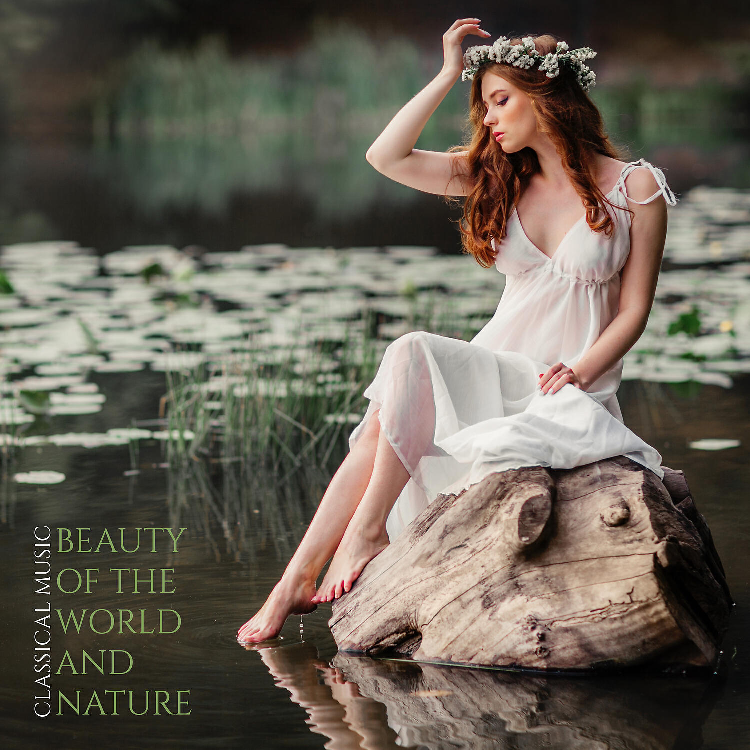 Постер альбома Beauty of the World and Nature - Classical Music