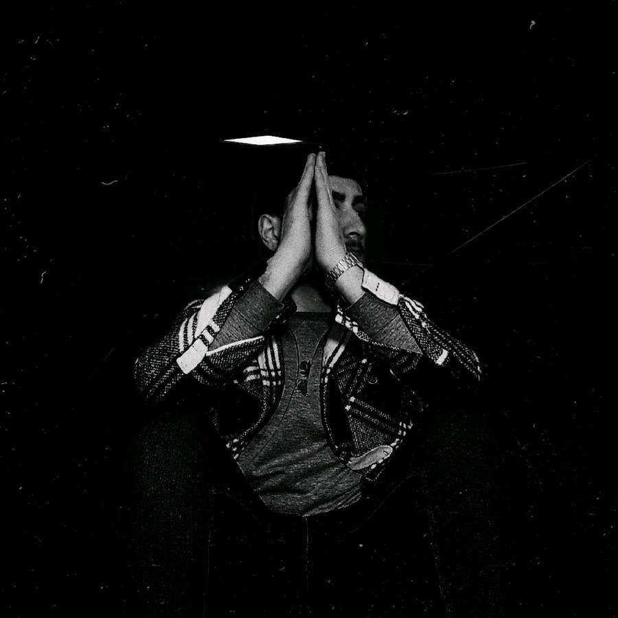 Putnik