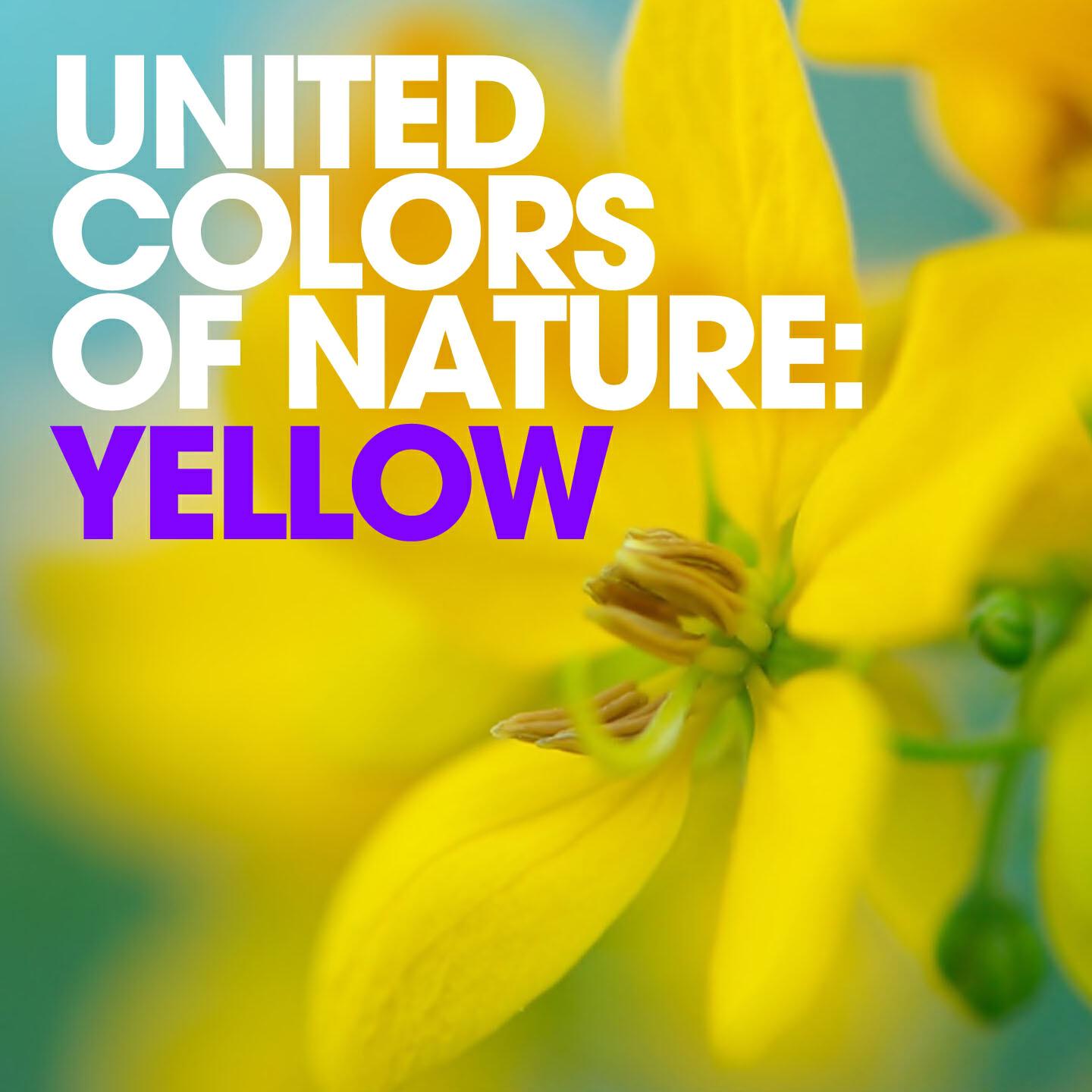 Релиз United Colors of Nature: Yellow