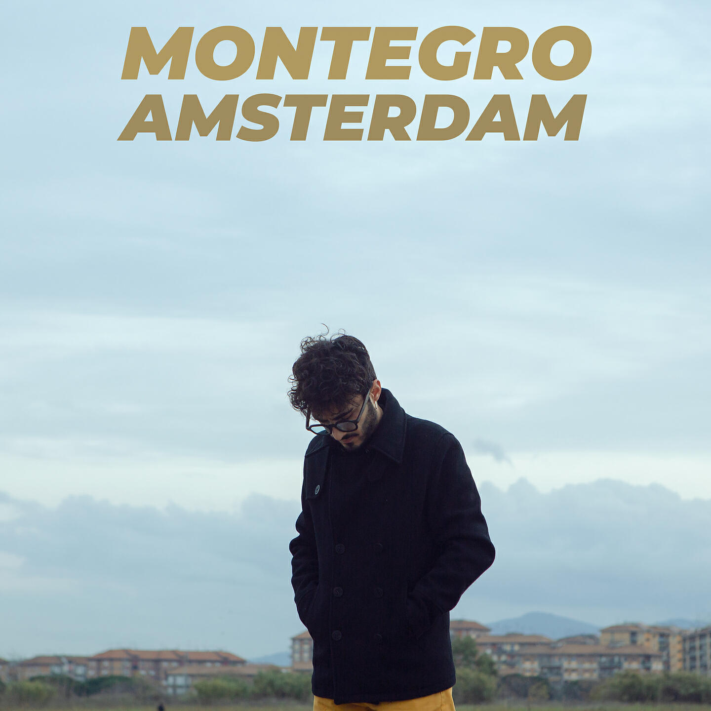 Релиз Amsterdam