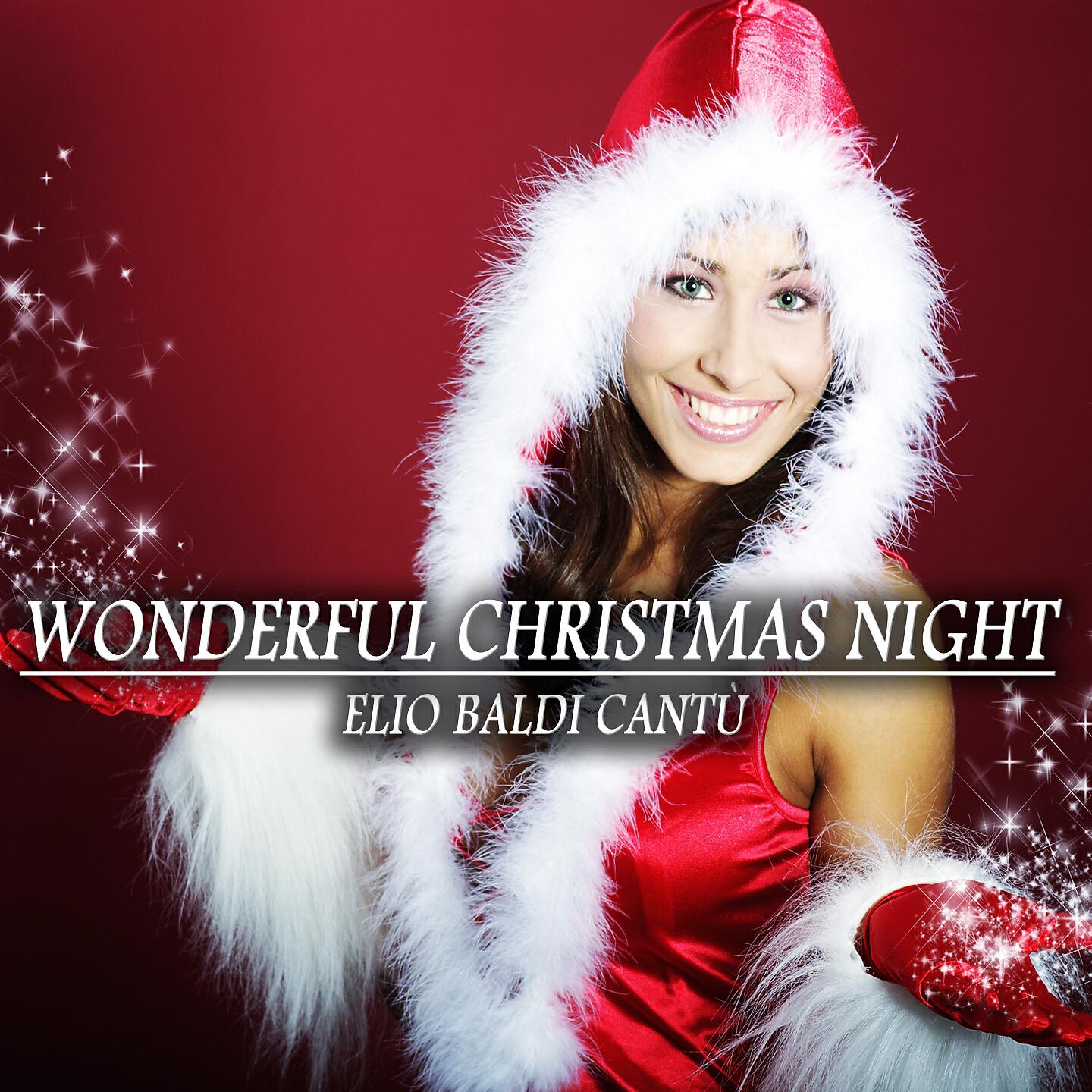Релиз Wonderful Christmas Night