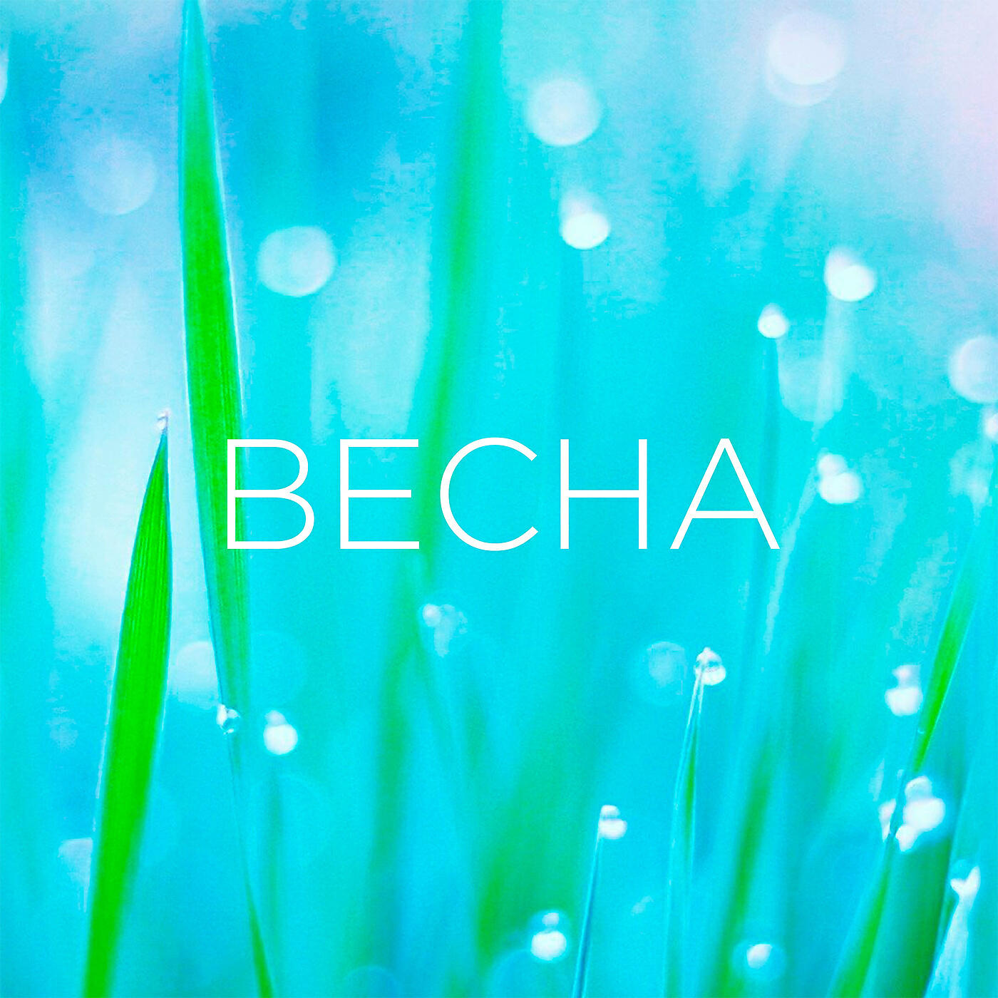 Релиз Весна