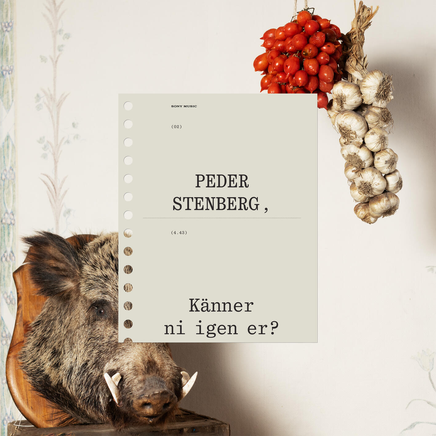 Релиз Känner ni igen er