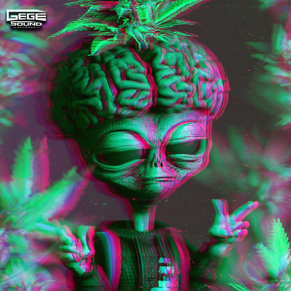 Релиз In the Brain