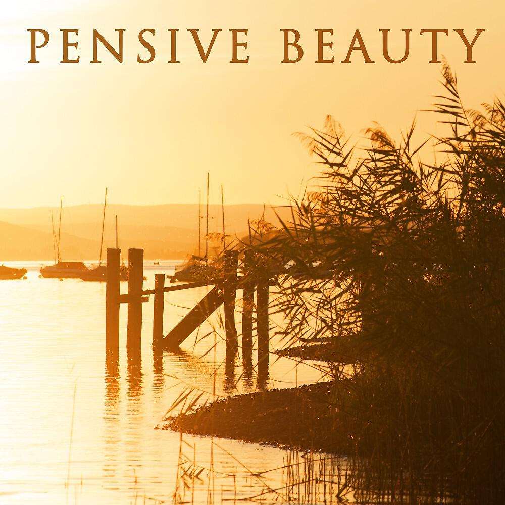 Релиз Pensive Beauty