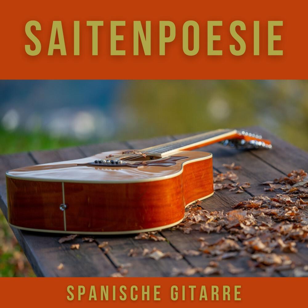 Релиз Saitenpoesie: Instrumentale Gitarrenmusik