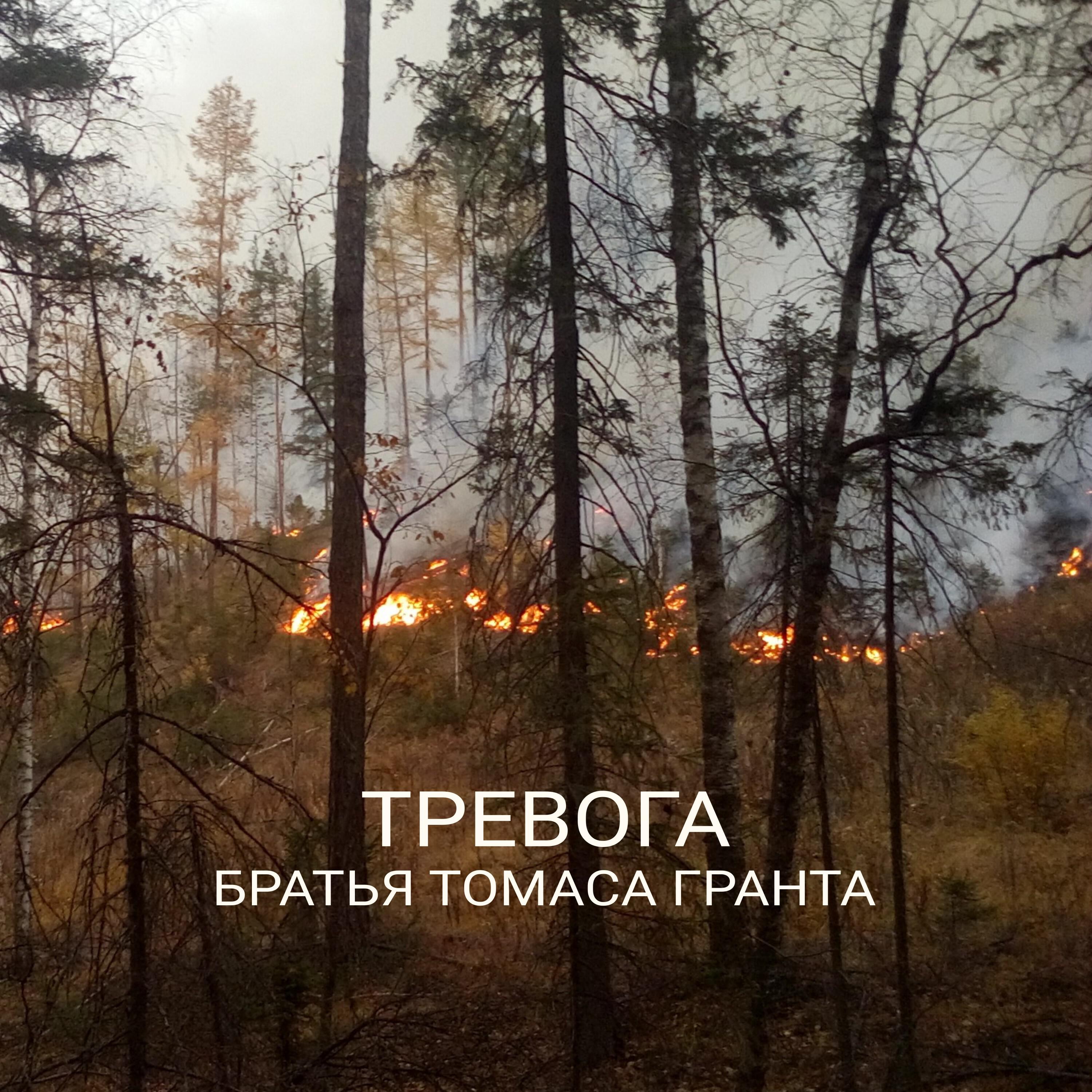 Братья Томаса Гранта