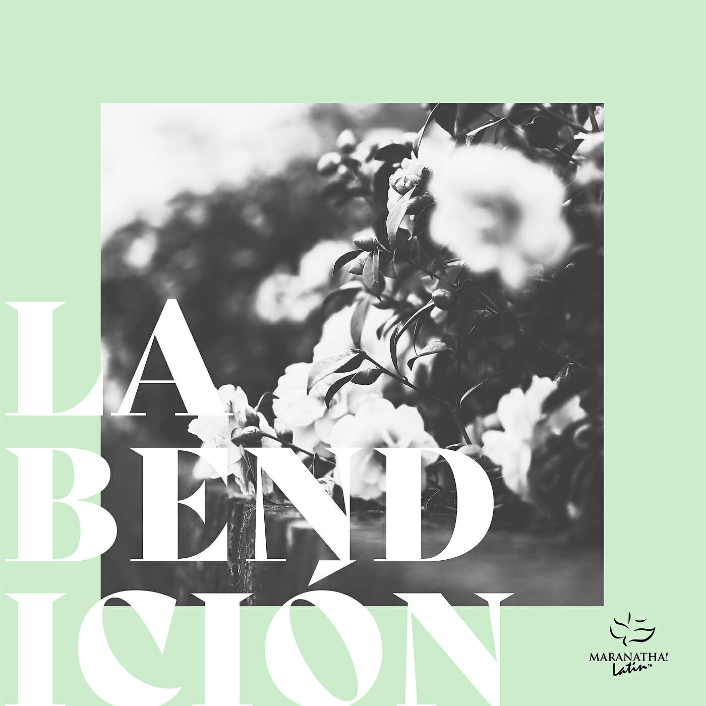 Релиз La Bendición