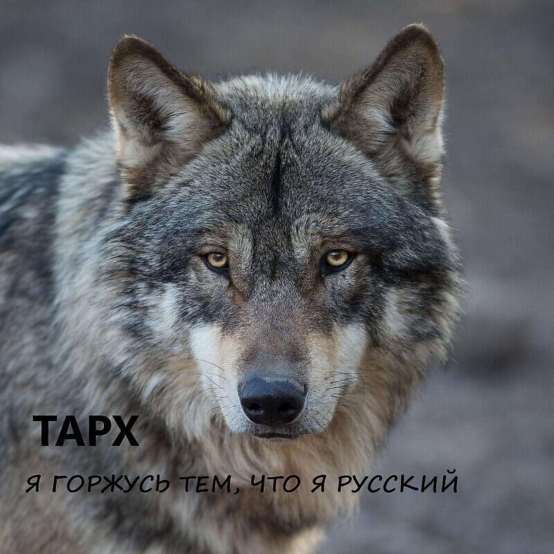 Релиз Я горжусь тем, что я Русский