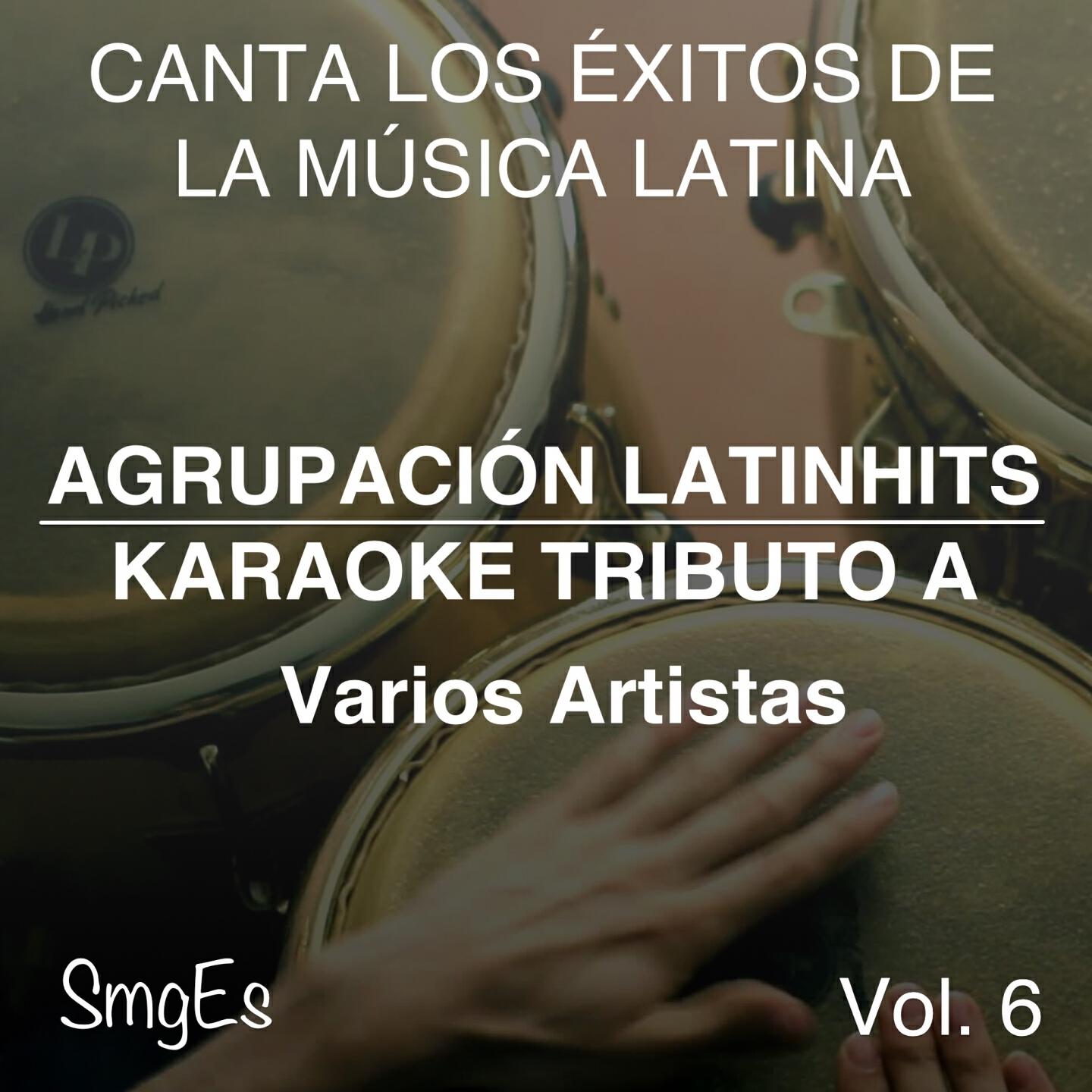 Релиз Instrumental Karaoke Series: Varios Artistas, Vol. 6
