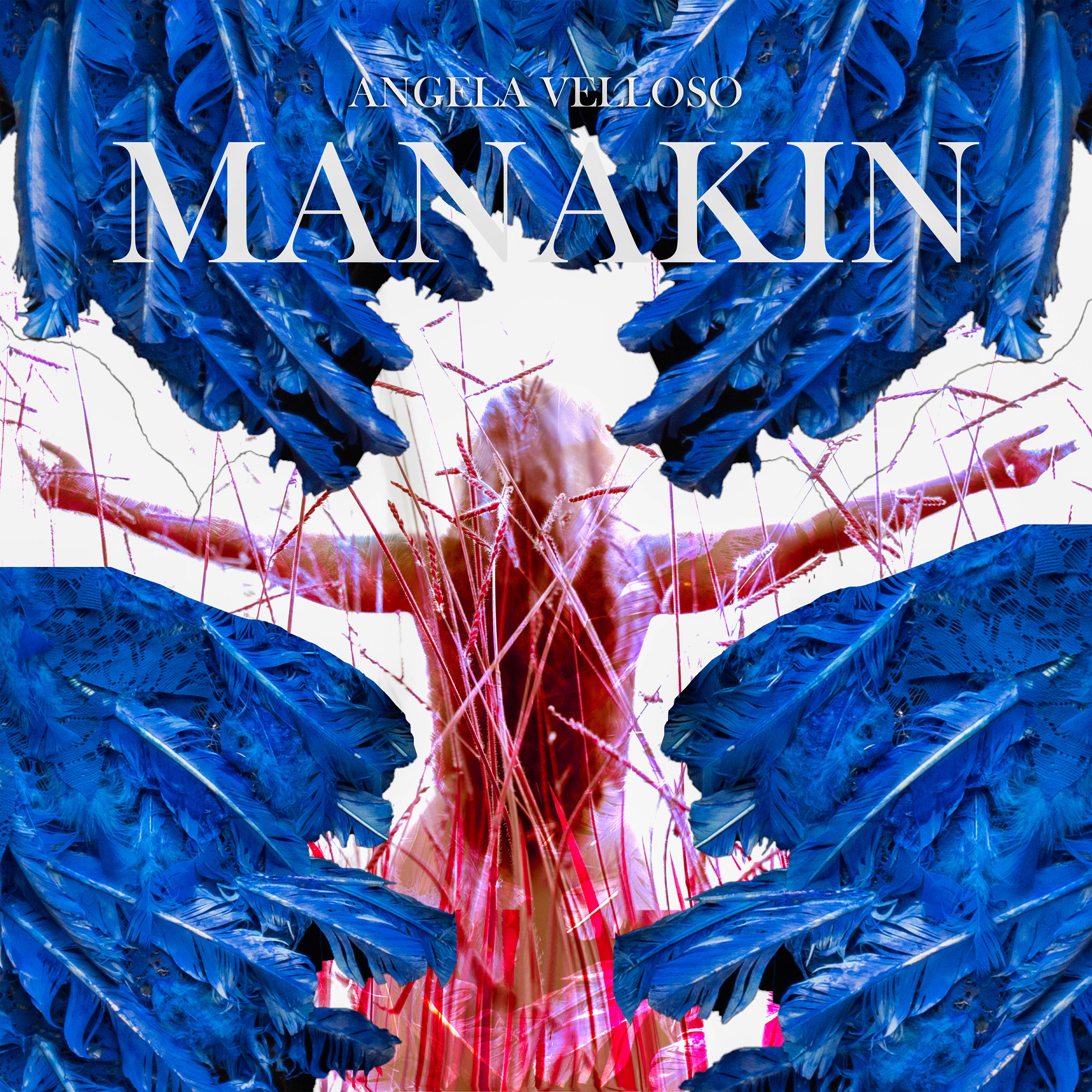 Релиз Manakin