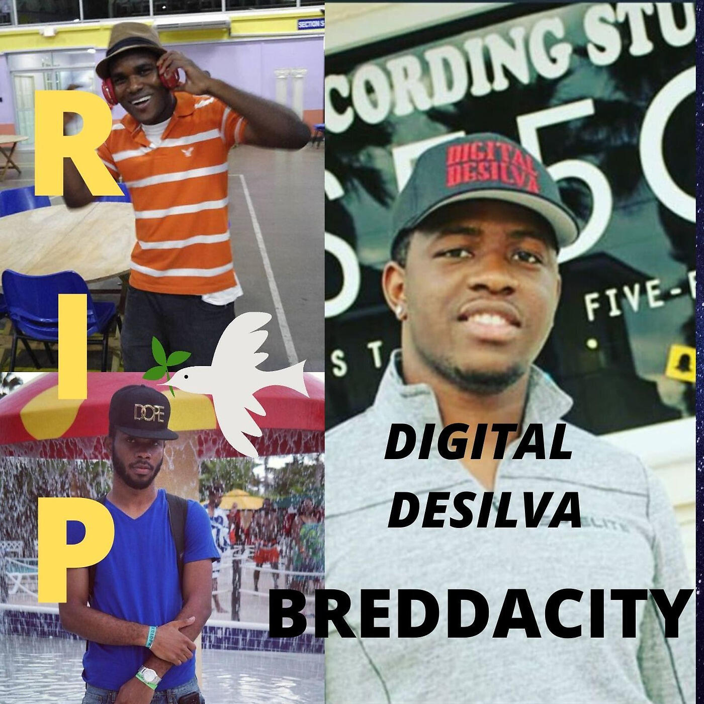 Релиз Bredda City