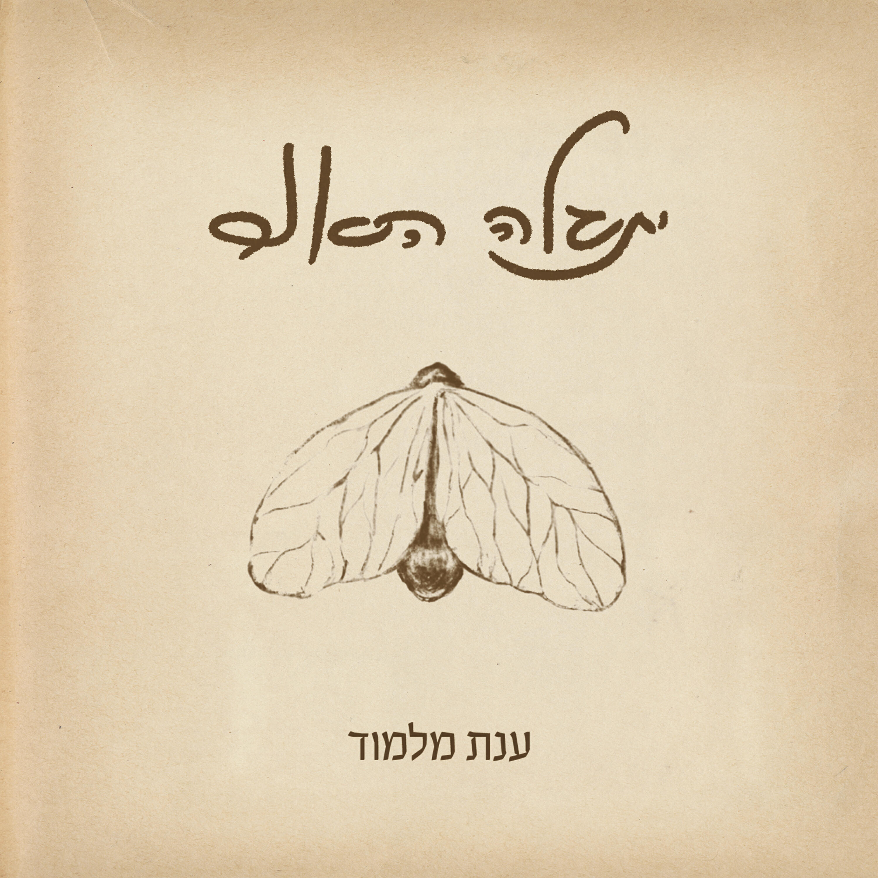 ענת מלמוד