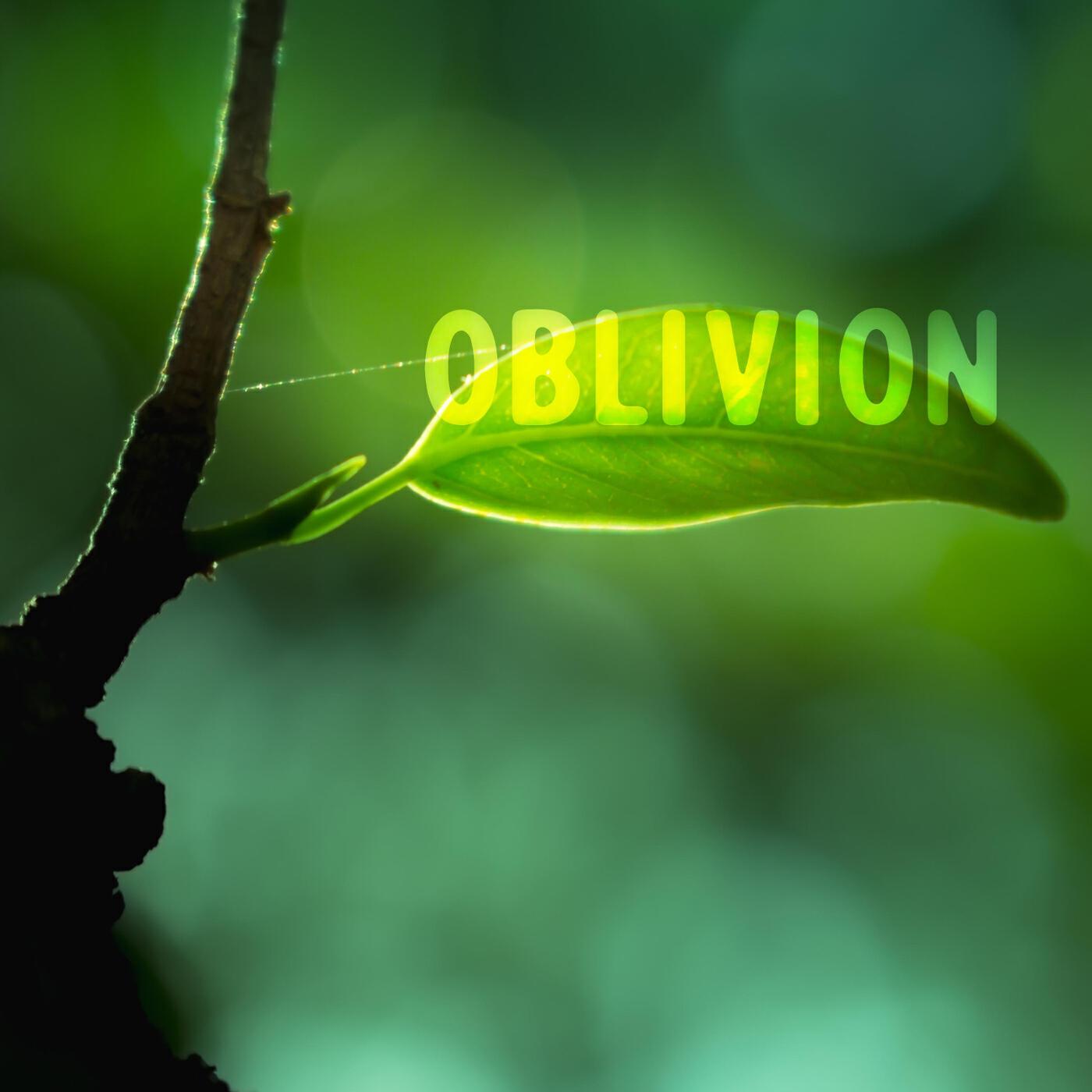 Релиз Oblivion