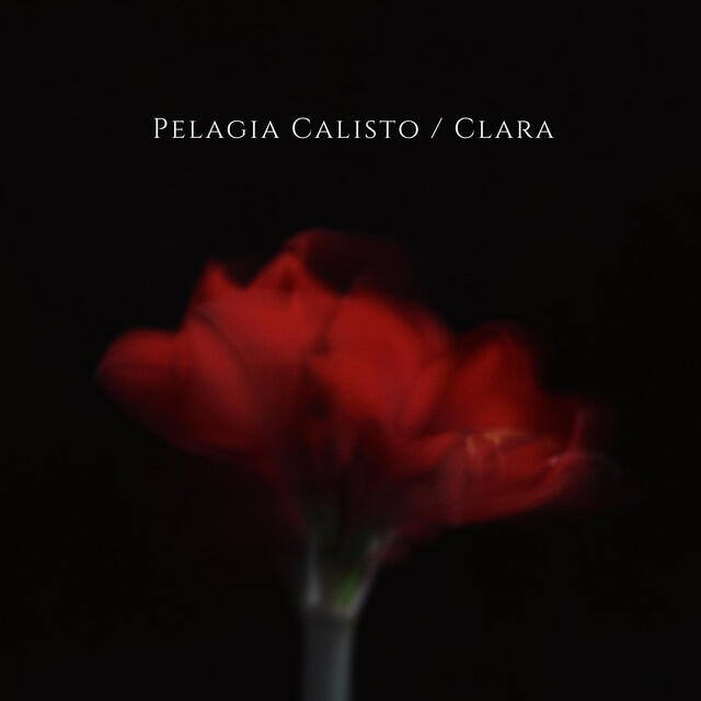 Релиз Clara