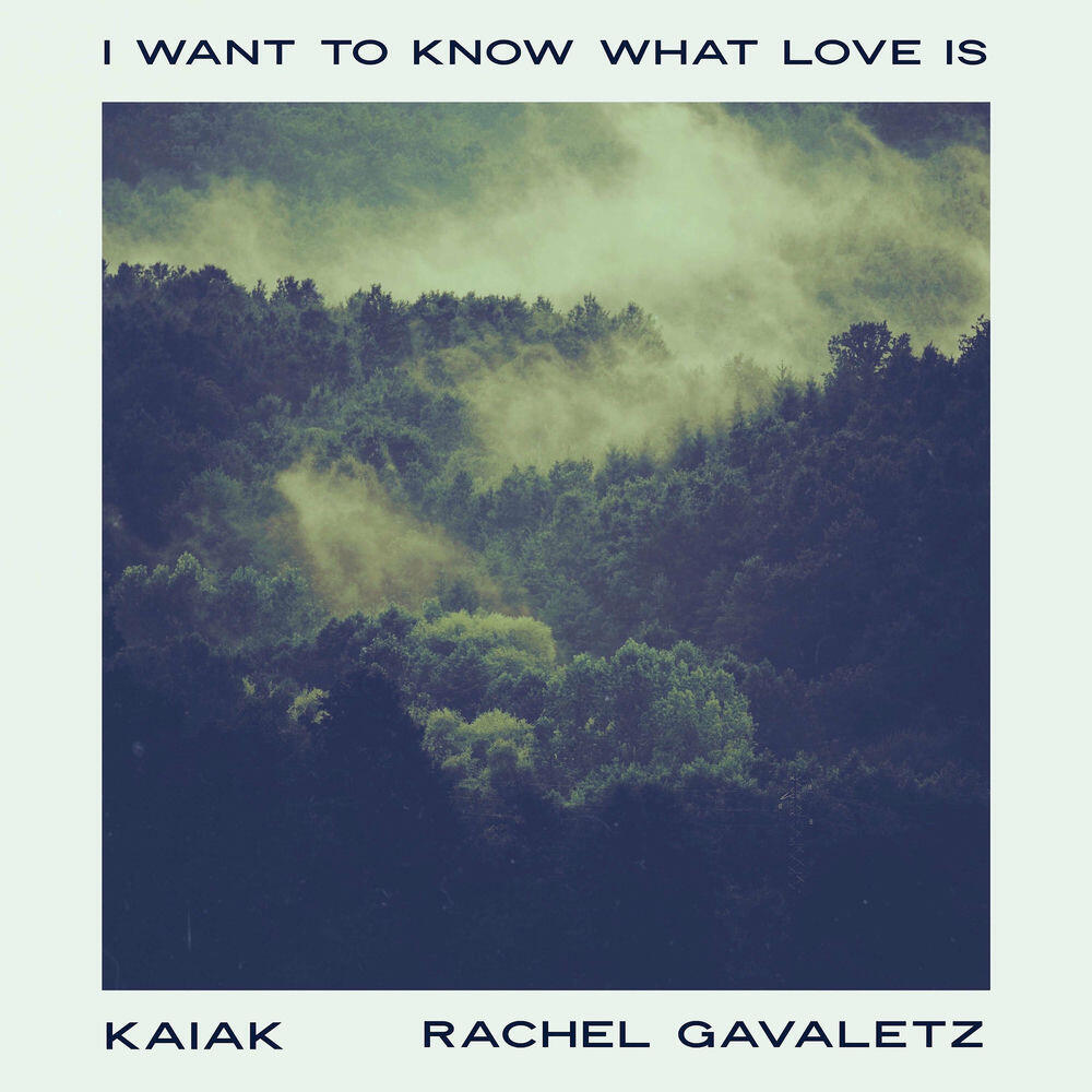 Релиз I Want To Know What Love Is (Acoustic)