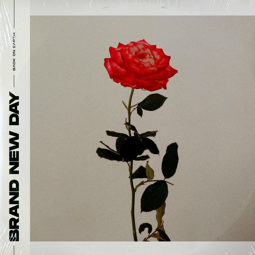 Релиз Brand New Day