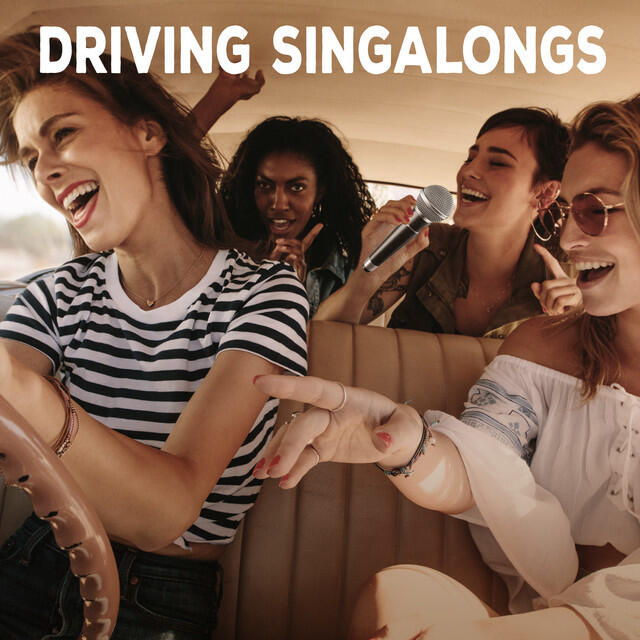 Постер альбома Driving Singalongs