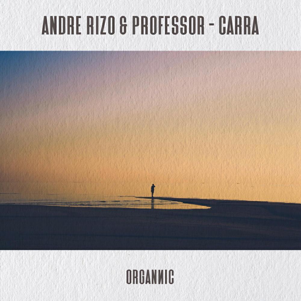 Professor (RO)