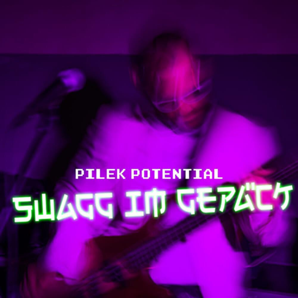 Постер альбома Swagg im Gepäck