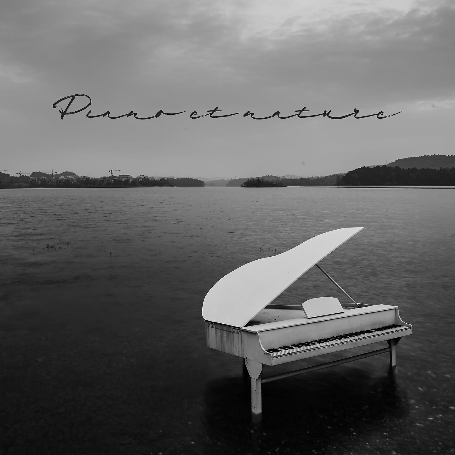 Релиз Piano et nature: Restez calme et méditez avec des sons de la nature instrumentale
