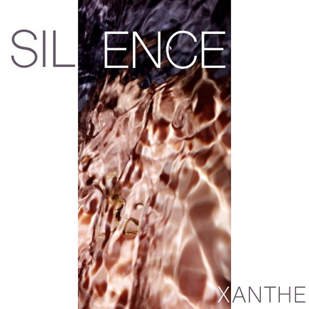 Постер альбома Silence