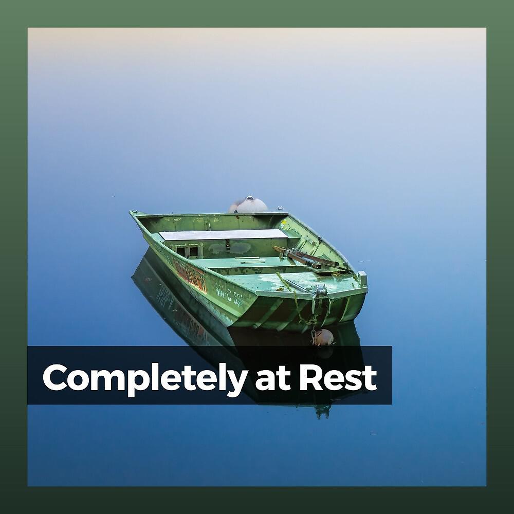 Релиз Completely at Rest