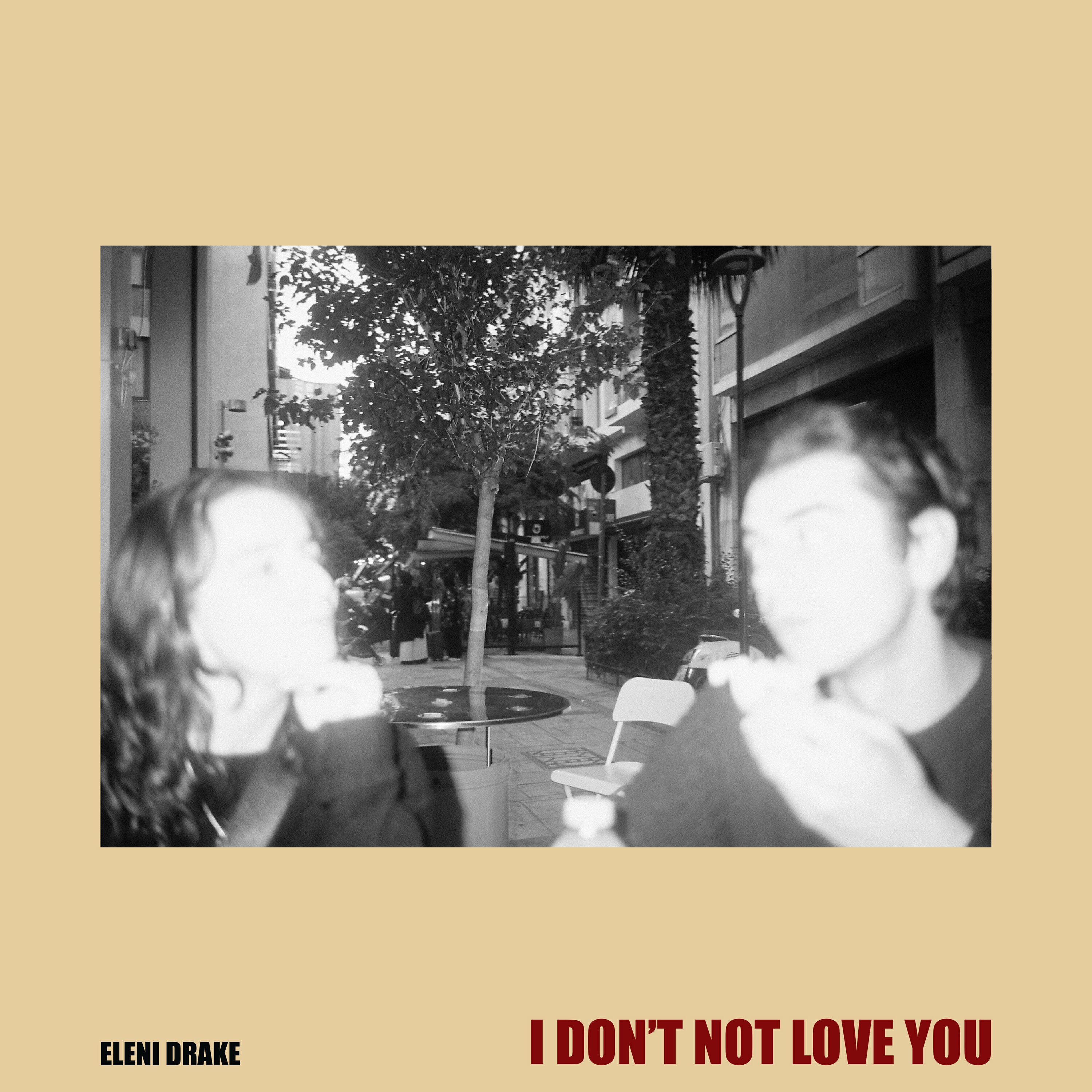 Релиз I Don't Not Love You