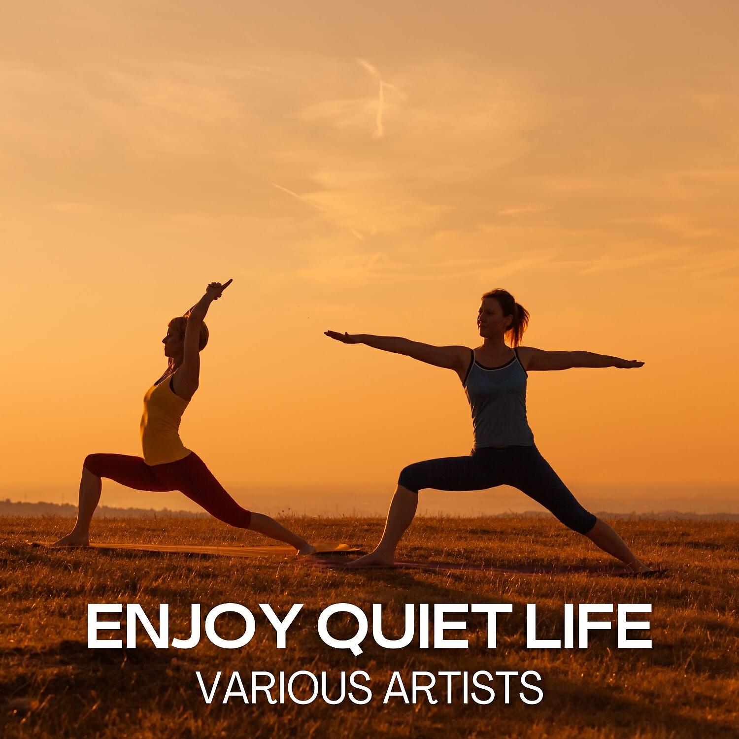 Релиз Enjoy Quiet Life