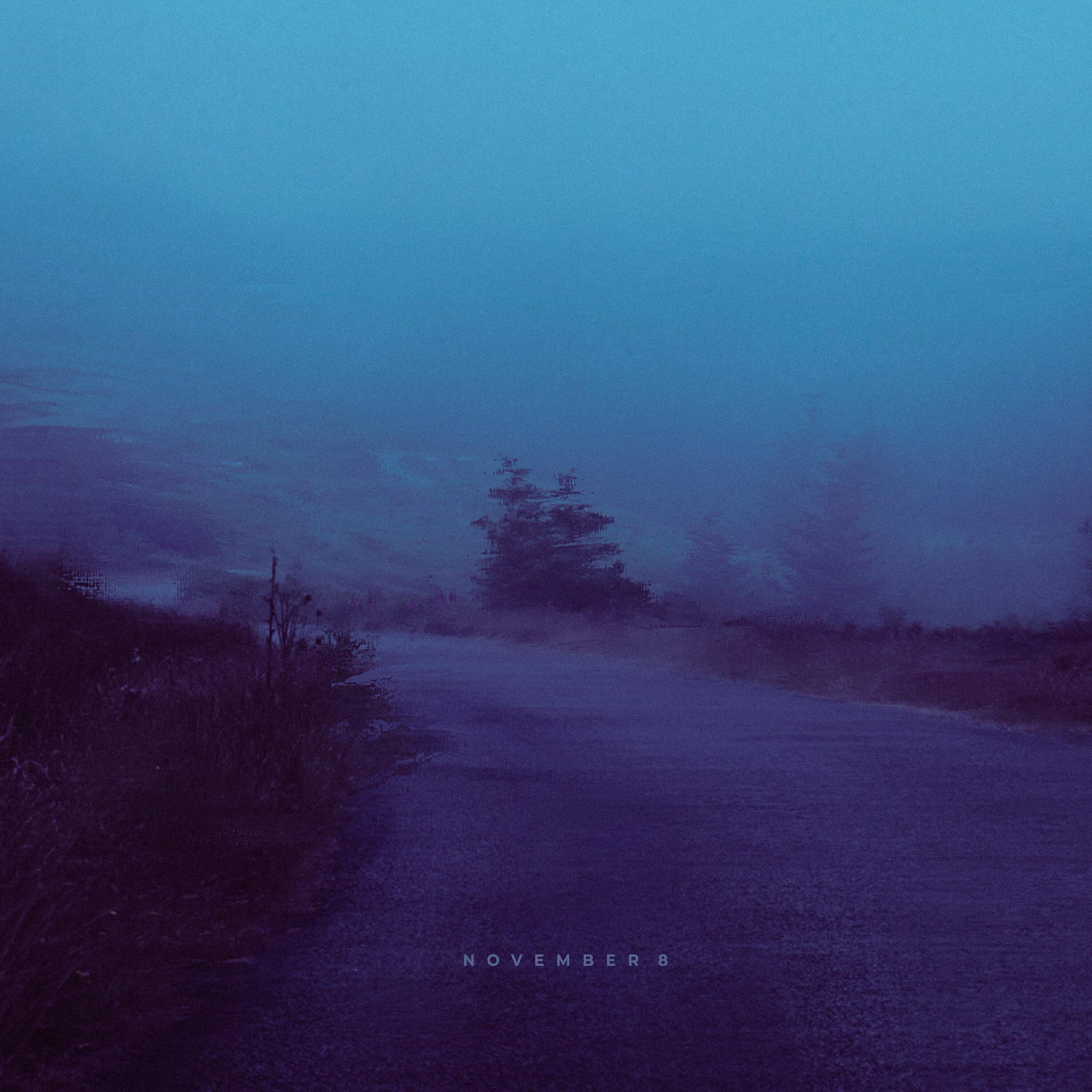 Релиз november 8 (Remixes)