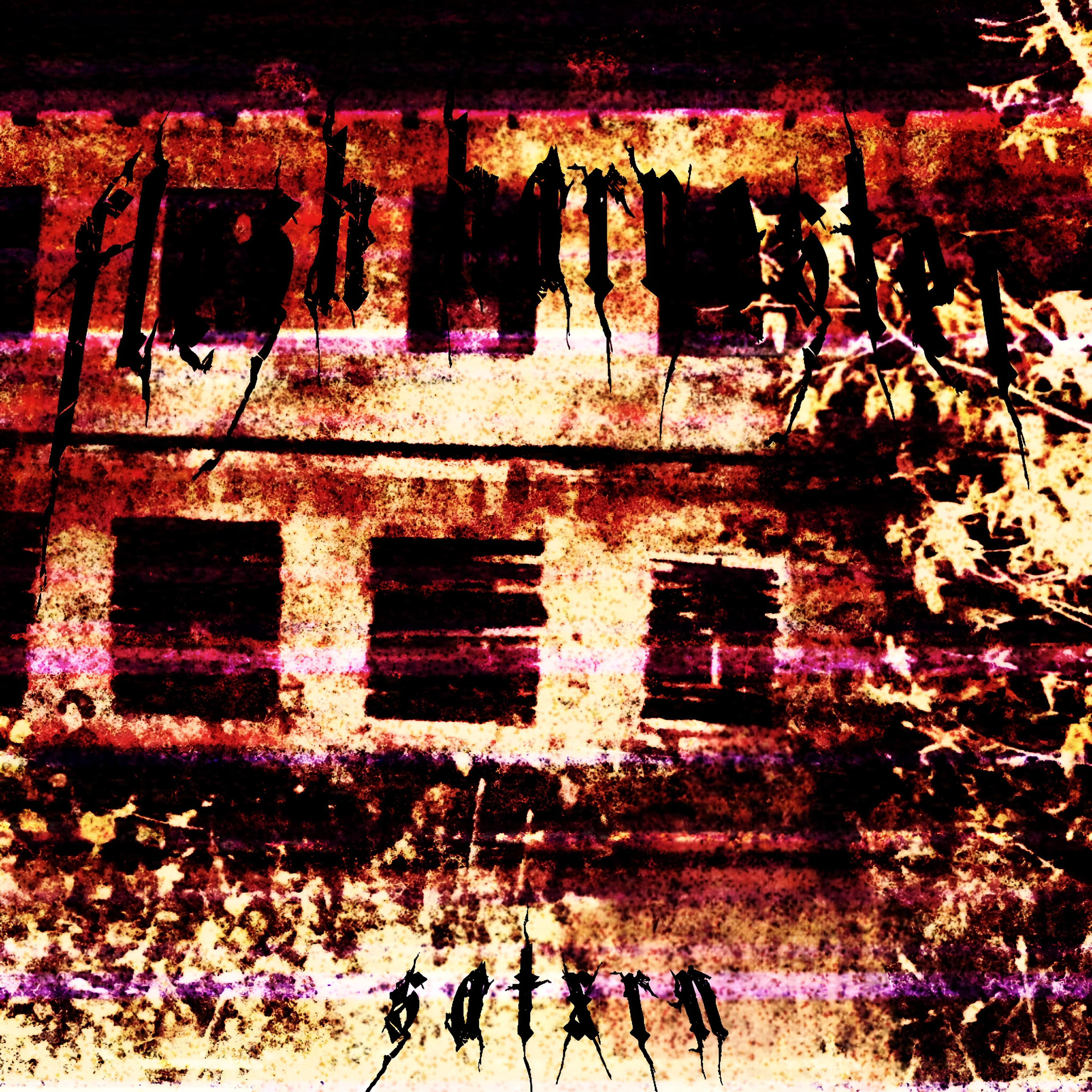 Релиз FLESH HARVESTER