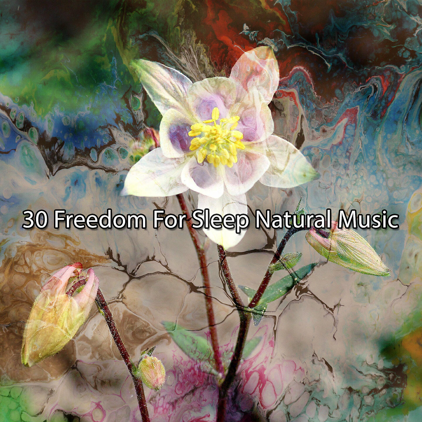 Релиз 30 Freedom For Sleep Естественная музыка