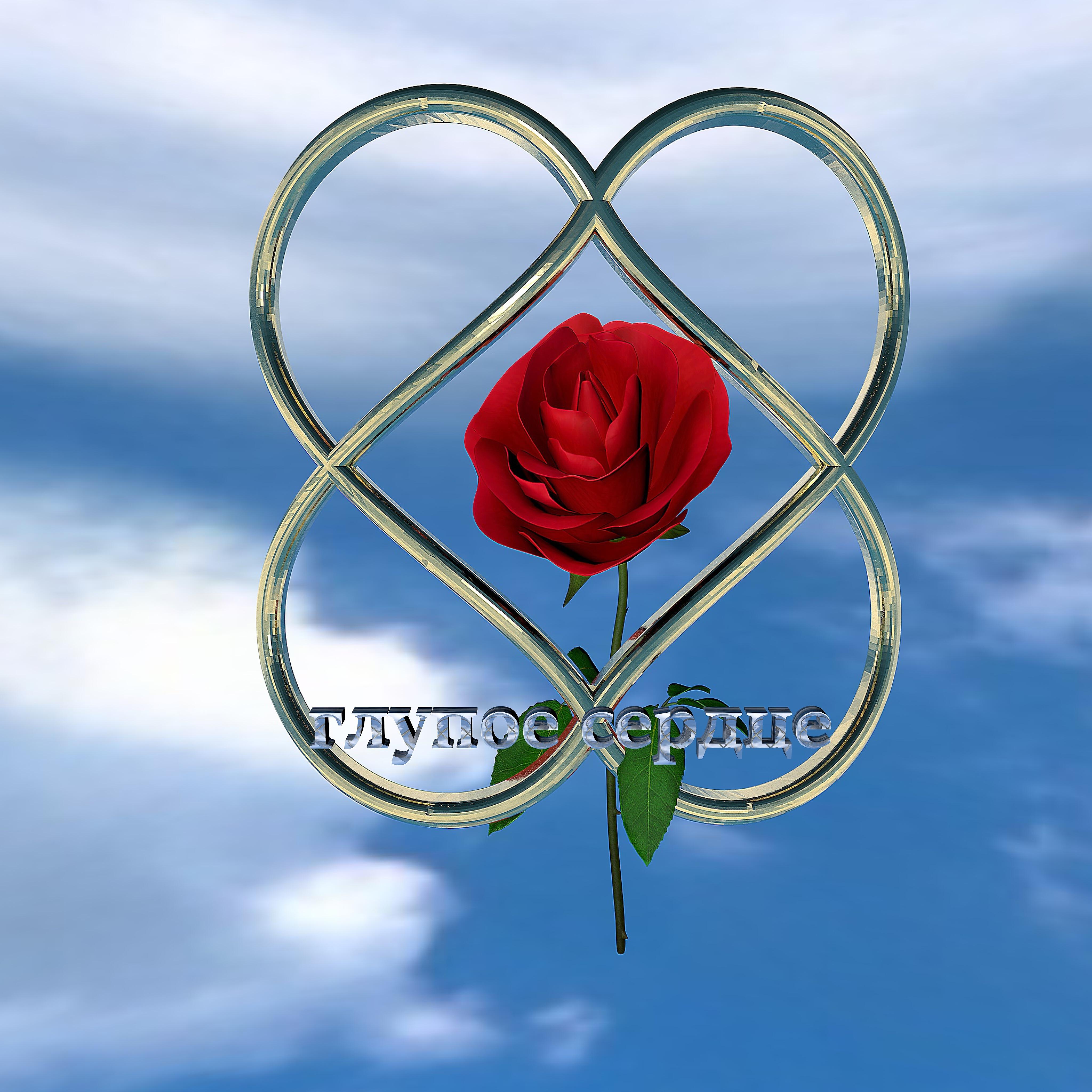 Релиз Глупое сердце
