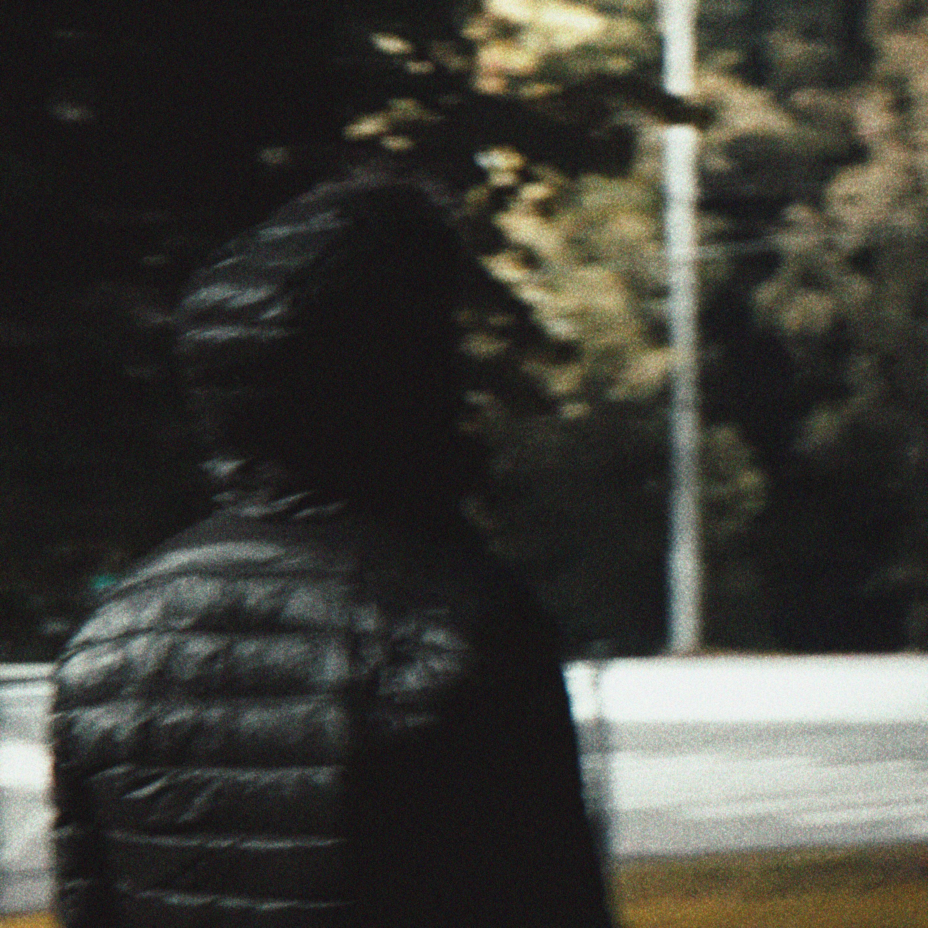 СЭЙМ - Так надо