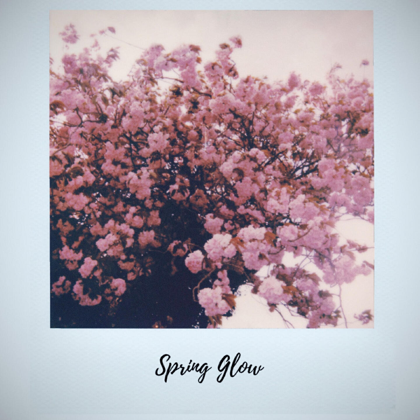 Релиз Spring Glow