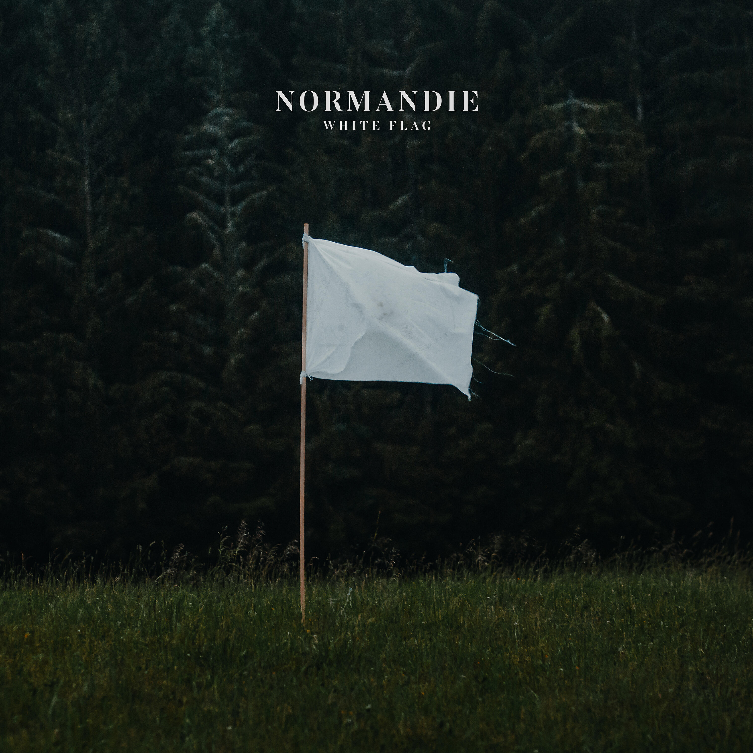 Релиз White Flag