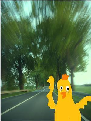 Huhn