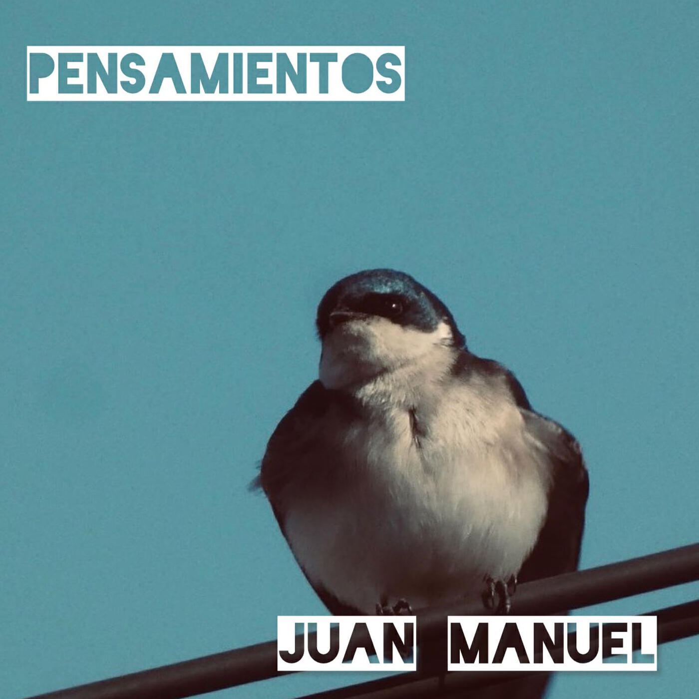 Релиз Pensamientos