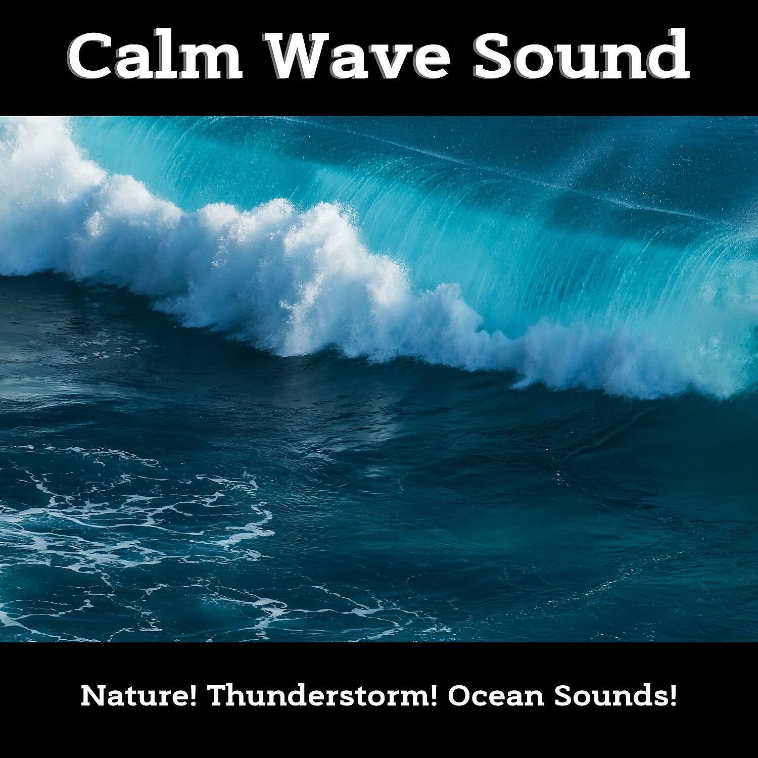 Ocean Sounds!