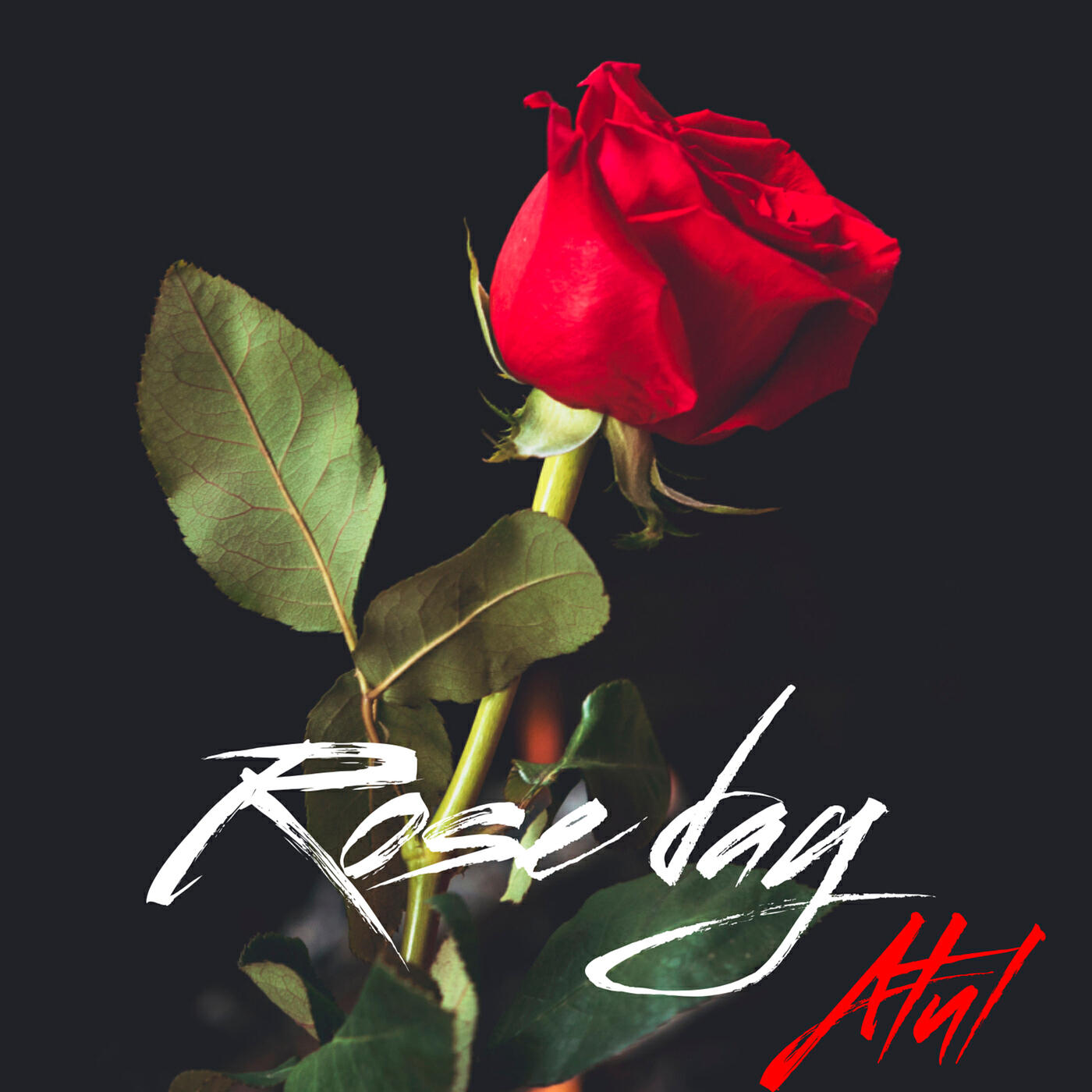 Релиз Rose Day