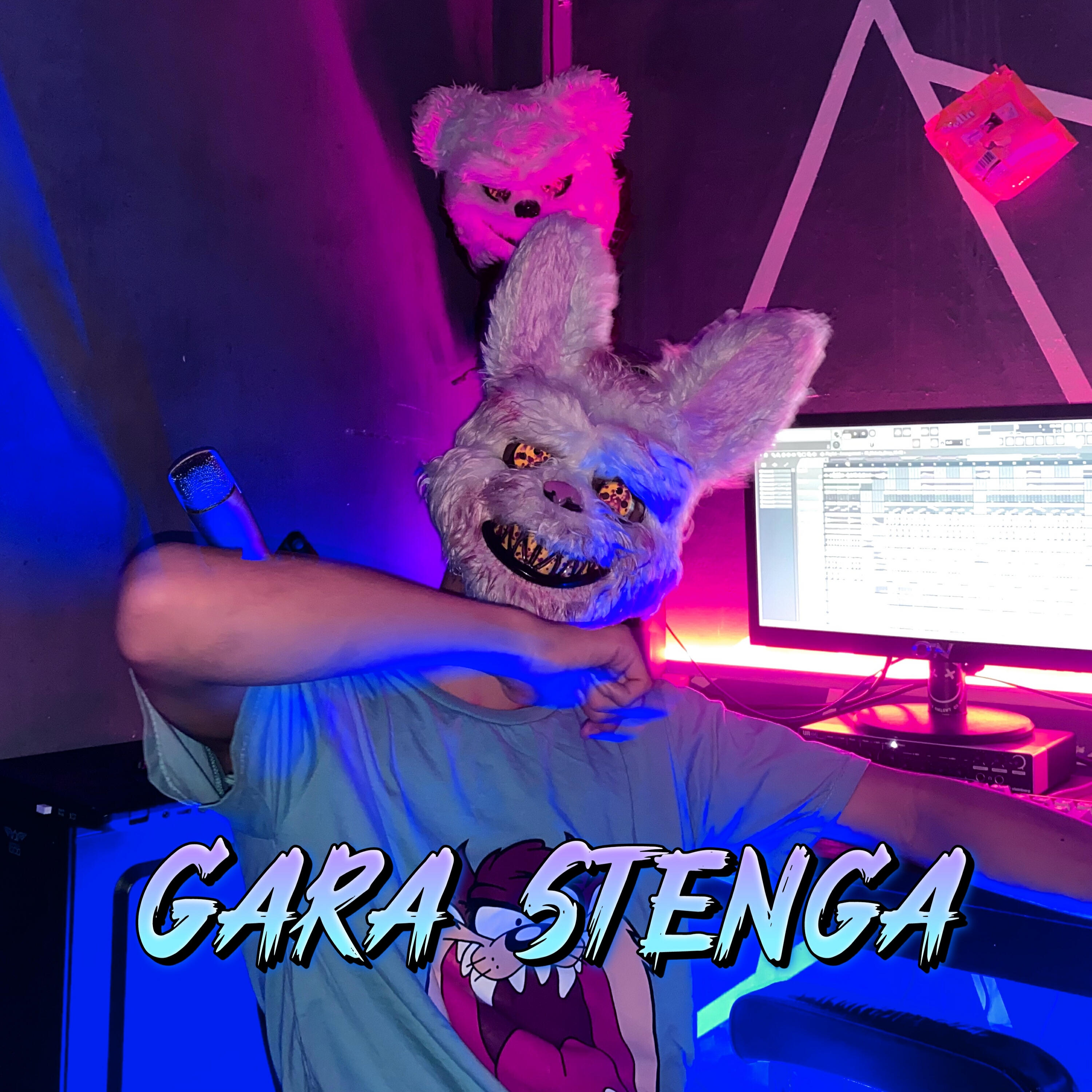 Релиз Gara Stenga