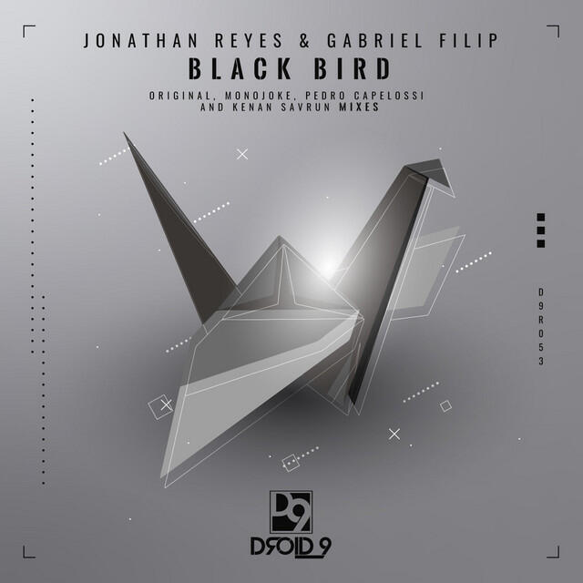 Релиз Black Bird